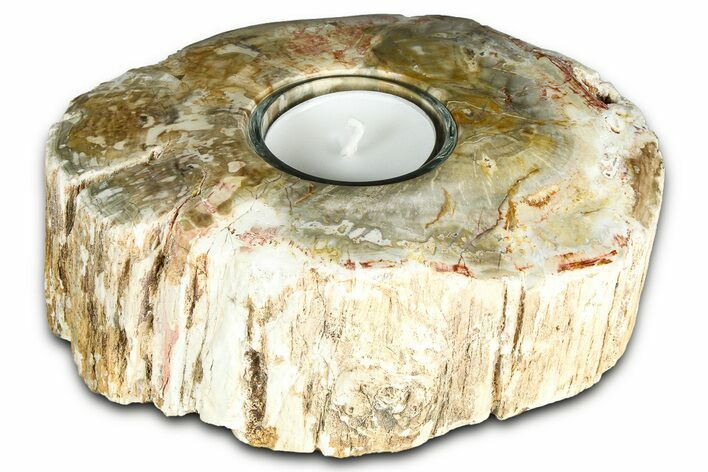 Polished Petrified Wood Candle Holder - Madagascar #378673